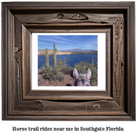 horse trail rides near me in Southgate, Florida